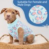 SAWMONG Blue Leopard Dog Recovery Suit (Small, 3-7lb), Breathable Polyester