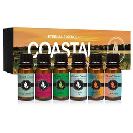 Coastal - Gift Set of 6 Premium Fragrance Oils - Mountain Meets Ocean, Seaside Citrus, Island Hop, Kelp, Beautiful Day and Coral Reef - 10ML