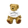 Teddy Cuddly Toy Bear Soft Toy Get Well Soon Your