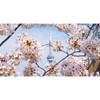 GICAM SHOP TOKIO BLOM FRAGRANCE - Size: 100 ML