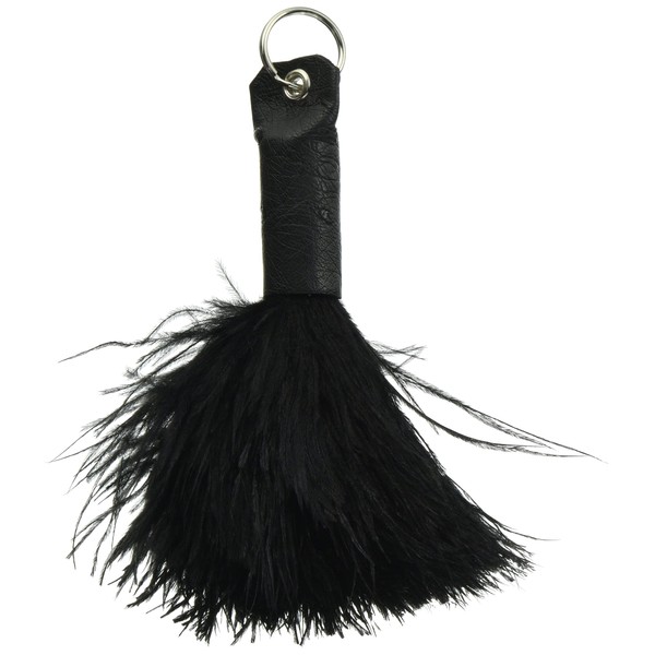 Asplund 665436 Feather Duster, Black, 5.9 inches (15 cm)