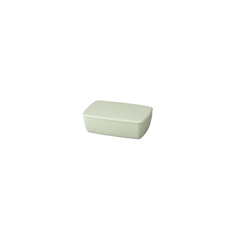 Tatsumiya Pistachio 600 30487 Quick Washable Lunch Box