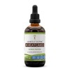Secrets of the Tribe Wheatgrass Tincture Alcohol Extract, High-Potency Herbal
