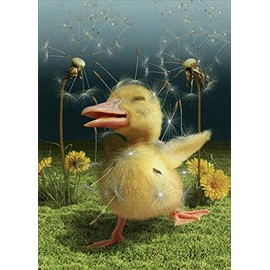 RSVP Happy Duck Dancing in Dandelions Cute/Funny Mother's Day Card