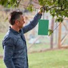 Defenders Horse Chestnut Leaf Miner Pheromone Trap – Twinpack, Refillable,