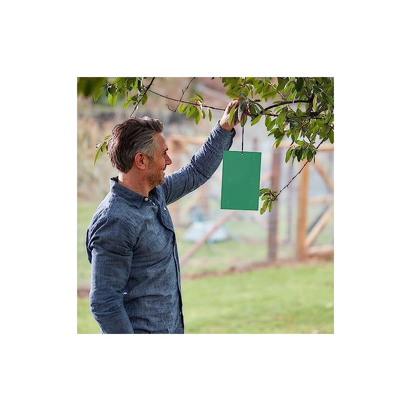 Defenders Horse Chestnut Leaf Miner Pheromone Trap – Twinpack, Refillable,