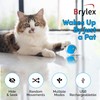 Brylex Interactive Cat Toys, Motion-Activated Rolling Ball with Play Mat,