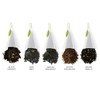 Tea Forte Assorted Black Tea Petite Presentation Box Tea Gift