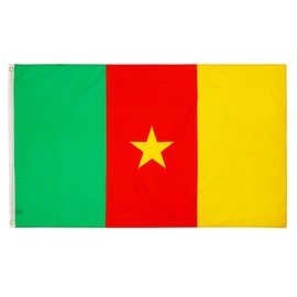 PHENO FLAGS Cameroon Flag 90 x 150 cm with Brass Eyelets Weatherproof National Flag for Flagpole 100% Polyester
