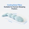 TEXSTEAD Pea Body Pillow for Side Sleepers, Cooling Hugpillow for