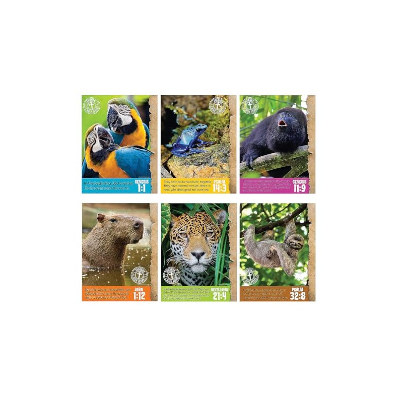 Fun Express Jungle VBS Classroom Poster Set - 6 Piece,