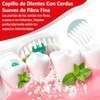 40 Piezas Mini Cepillos de Dientes Desechables con Pasta, Kit