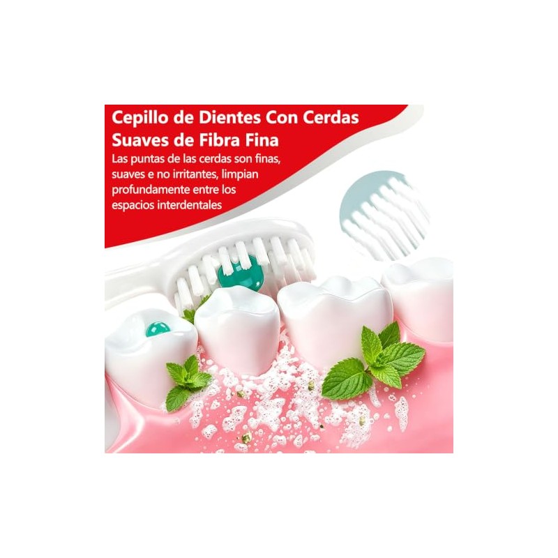 40 Piezas Mini Cepillos de Dientes Desechables con Pasta, Kit