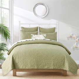 Querencia 100% Cotton Quilt Queen Size - Green Quilt Set, Lightweight Quilted Paisley Comforter, Greeb Bedspread Coverlet, Bedding Bed Quilt, All Seasons 3 Pieces (Full/Queen, Sage Green)