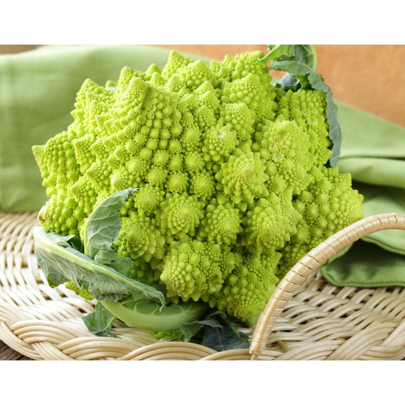 Seeds Romanesco Broccoli Beautiful Cabbage Heirloom Vegetable Non GMO