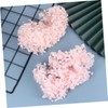 DECHOUS Hortensia Seca Flores Preservadas 20 g Perfectos para Arte