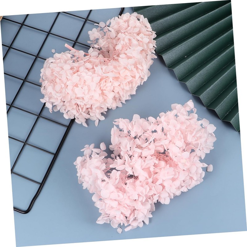 DECHOUS Hortensia Seca Flores Preservadas 20 g Perfectos para Arte