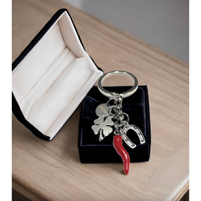 Mavilla Fashion Stainless Steel Keyring Pendant with Lucky Horseshoe and