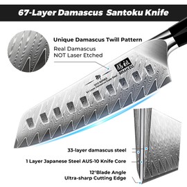 SHAN ZU Damascus Chef Knife Santoku Knife 7 Inch Professional Multifunction Kitchen Knives, 67 Layers Damascus Stainless Steel AUS-10 Super Sharp Cooking Knife with G10 Handle/Gift Box