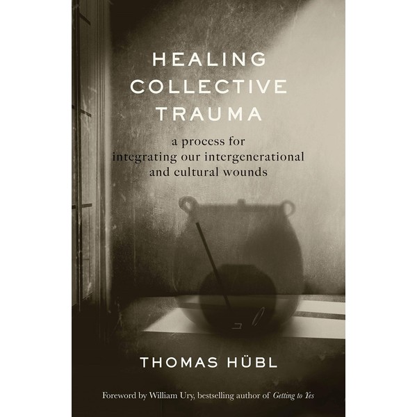 Healing Collective Trauma: A Process for Integrating Our Intergenerational &