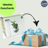 Winkee - Stylish Flower Pot in Disco Ball Shape I
