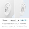 Radius EP-D10CL Radius EP-D10CL Ear Plugs Ear Plugs: Sleep, Concentration,