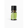 Nature's Basket Peppermint Essential Oil - 15 Ml