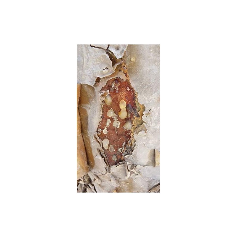 Griechischer Weihrauch – Athos – Bienenhonig – 20 g