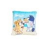 Bluey Beach Towel and Pull String Bag