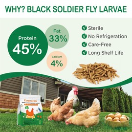 Auciccoo Ecoproento Dried Black Soldier Fly Larvae 5 LBS - 85X More Calcium Than Mealworms - 100% Natural Non-GMO BSF Larvae - Treats for Chicken, Duck, Wild Bird, Turtle