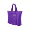 EURI | Foldable Cooler Bag | Portable Thermal Cooler Bag