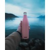 SIGG 50326 Stainless Steel Bottle Meridian 0.5L Shine Pink