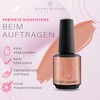 172 Sweet Caramel Beige - Shayenne UV Gel Nagellack 15ml