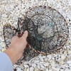 MBK (Small Fish Cage) 9.8 x 18.5 inches (25 x