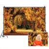 DASHAN 10x8ft Fall Leaves Fall Forest Backdrop Fall Wedding Autumn