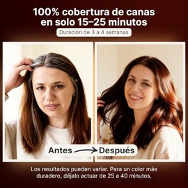 Herbishh - Champú colorante para cabello gris, champú con tinte natural para el cabello, colorea el cabello en minutos, dura hasta de 3 a 4 semanas, 5