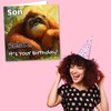 Cute Happy Birthday Card For Son - Orangutan, Monkey, Nature