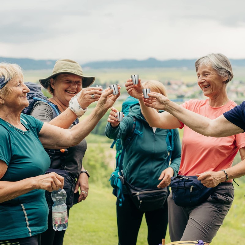 UPKOCH 4pcs Travel Stainless Steel Shot Glasses with Leather Carrying