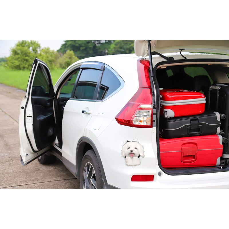 Winston & Bear 3D Dog Stickers - 2 Pack -