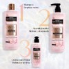 ANNE ROTHSHIELD CREMA PARA PEINAR KERATIN OIL ELIXIR 150ml