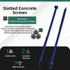 Riyhch 100-Pack 1/4" * 6" Hex Head Concrete Screw Anchor,