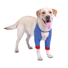 Blue Dream Island Surgical Recovery Sleeve for Front Legs, Prevent Licking Wounds, Elbow Brace, Dog Recovery Suit for Sprain and Arthritis, Blue, XXL