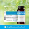 Horse Chestnut Extract Capsules - High Dose 250 mg, Pack