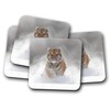 4 Set - Beautiful Tiger Coaster - Big Cat Lion
