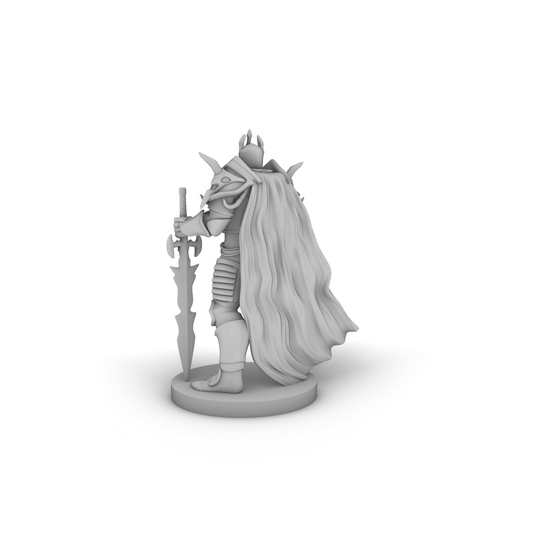Fallen Paladin Tabletop DND Gaming Miniature