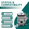 AUTOKAY 62100-81010 Carburetor with Blower Fuel Line Kit for Poulan