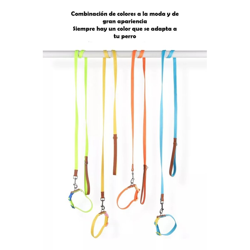 UNA MASCOTA Collar para Perros de Moda y Confort -