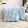 FUTEI Light Blue Decorative Throw Pillow Covers 18x18 Inch Set