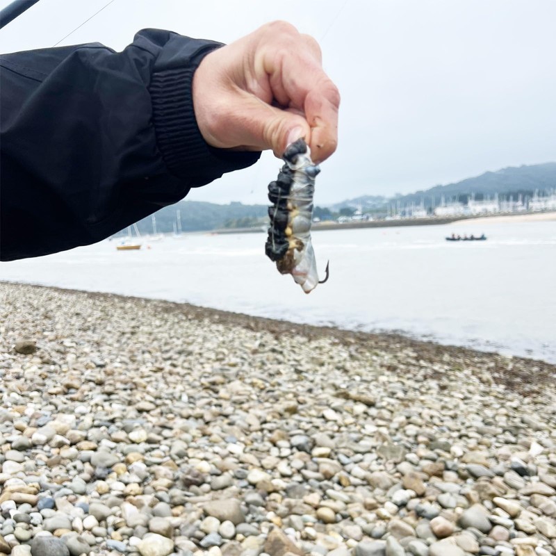 Sea Fishing Hook Bait Making Tool For Bass Cod Tope