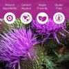 Milk Thistle Supplement Capsulas De Cardo Mariano para Desintoxicar Y